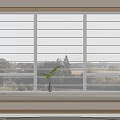 Modern White Venetian Blinds On Interior Window With Wooden Frame And Small Green Plant