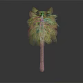 Tall Palm Tree With Green Leaves And Brown Trunk In Gray Background