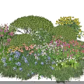 Well Pruned Garden Shrubs Surrounded By Varied Colorful Blooms And Green Foliage