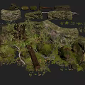 Natural Forest Floor Scene With Moss Covered Rocks Ferns And Driftwood