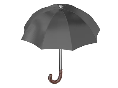 Classic Black Umbrella With Silver Shaft And Wooden Curved Handle For Rain Protection 3d model