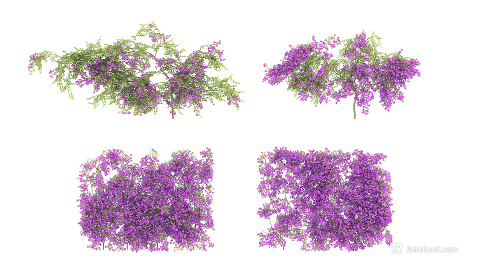 Purple Flowering Vines With Green Branches And Various Dense Coverage Forms 3d model 