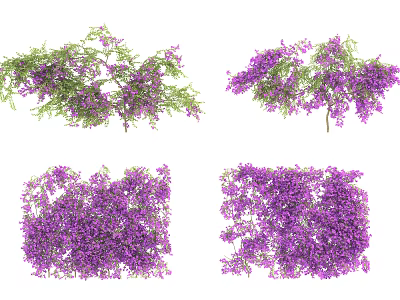 Purple Flowering Vines With Green Branches And Various Dense Coverage Forms 3d model