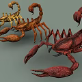 Three Different Colored Reptile Scorpions with Curved Tails and Claws