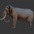 Detailed Realistic Elephant With Large White Tusks And Wrinkled Skin