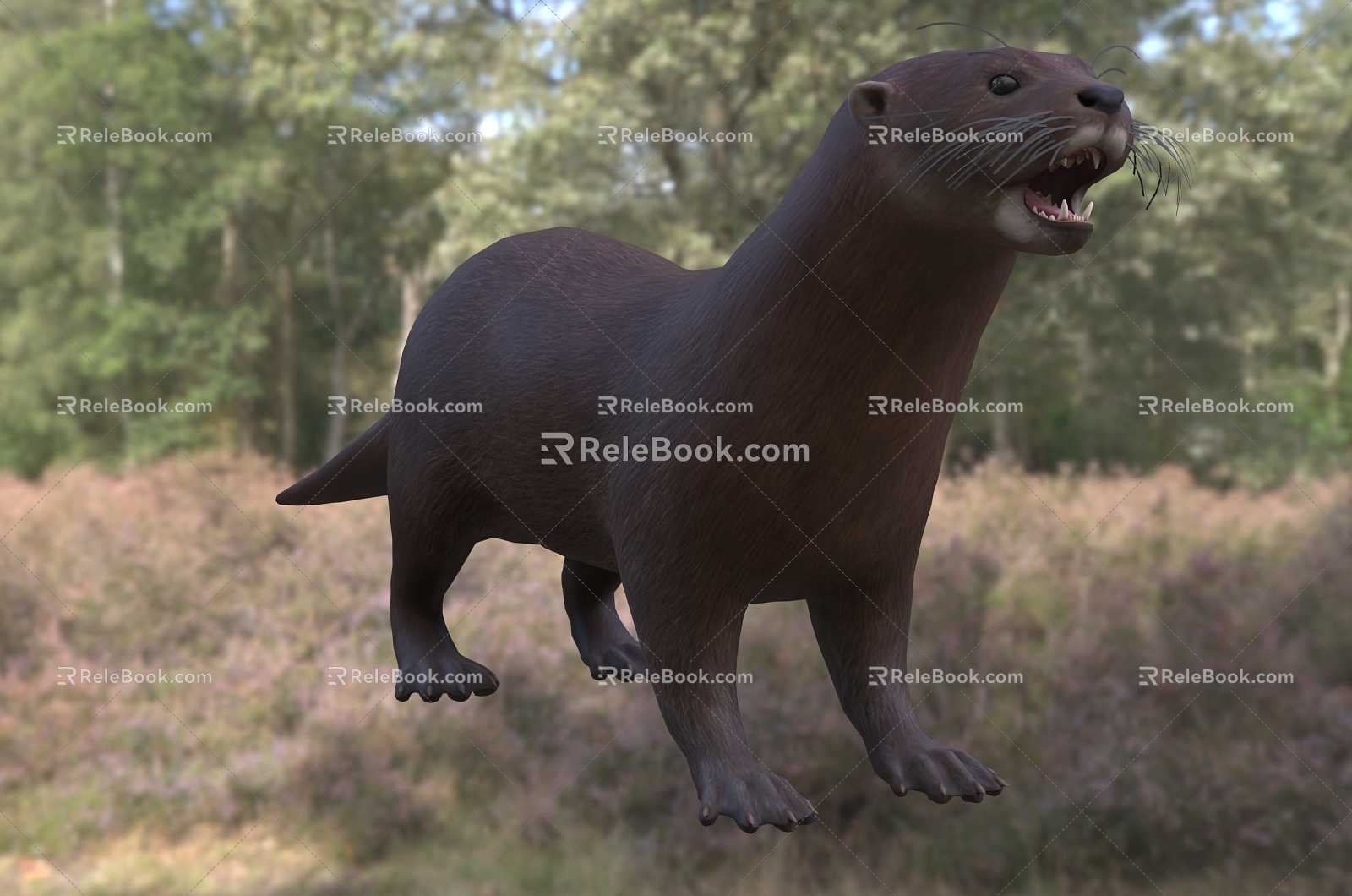 Modern Spotted Neck Otter Animal Creatures 3d model