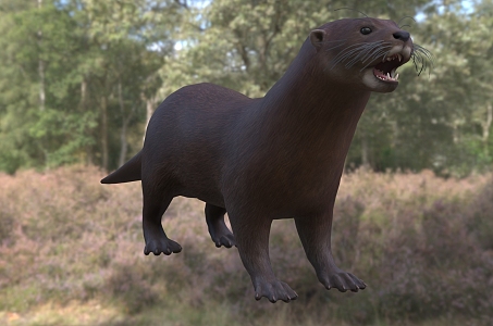 Modern Spotted Neck Otter Animal Creatures 3d model