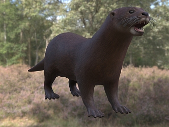 Modern Spotted Neck Otter Animal Creatures 3d model