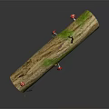 Natural Wooden Log Featuring Bark Texture Green Moss Red Mushrooms And Small Twigs