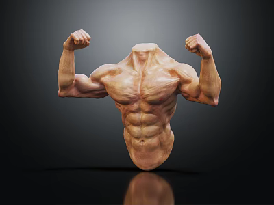 Medical Device Anatomical Torso Model Headless Muscular Structure with Flexed Arms Displaying Muscles Dark Background 3d model