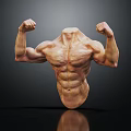 Medical Device Anatomical Torso Model Headless Muscular Structure with Flexed Arms Displaying Muscles Dark Background