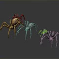 Three Varied Colored Spiders with Detailed Designs and Distinct Features