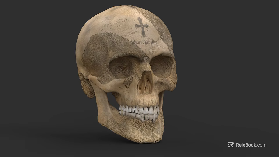 Human Skull With Cross Mark On Forehead And Detailed Bone Structure 3d model