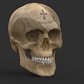 Human Skull With Cross Mark On Forehead And Detailed Bone Structure 3d model