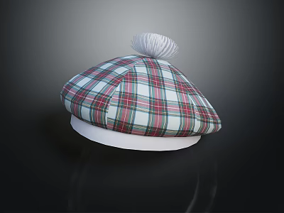 Plaid Beret With White Brim And Pom Pom Fashion Accessory Design 3d model
