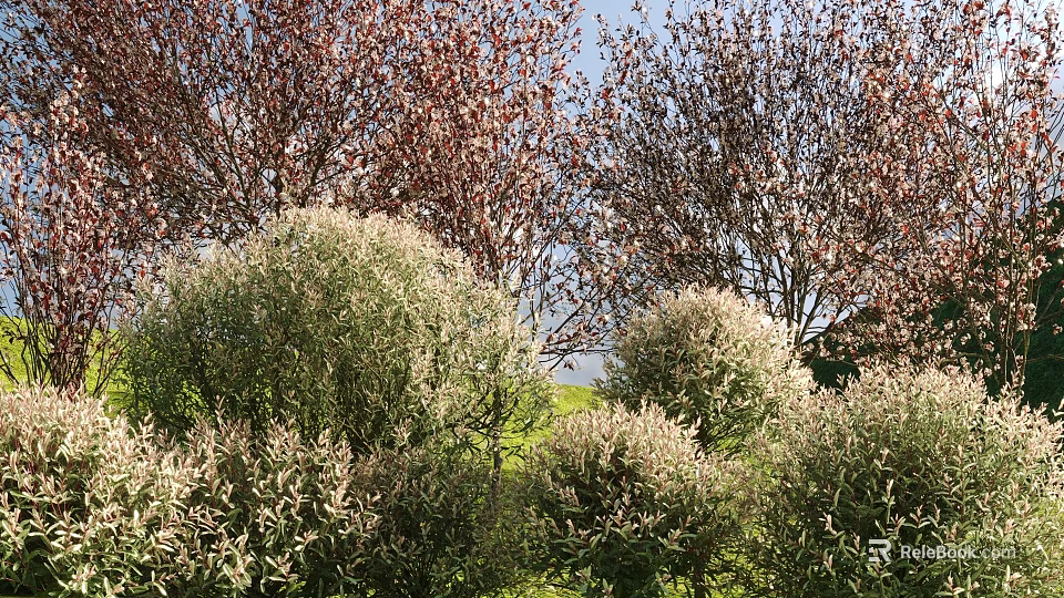 Lush Flowering Shrubs With White Blooms Thriving In Outdoor Garden Under Clear Sky 3d model 