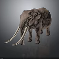 Gray Elephant 3D Model With Long White Tusks Standing On Dark Background