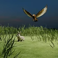 Flying Eagle Soaring Over Green Grassland With Rabbit Under Blue Sky 3d model