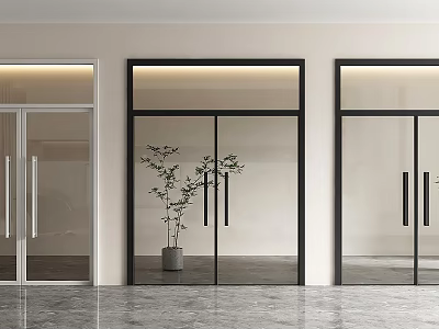 Modern Glass Double Doors With Black Frames And Decorative Plant In Interior Space 3d model
