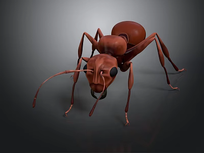 Detailed Brown Ant 3D Model With Realistic Close Up View On Dark Background 3d model