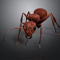 Detailed Brown Ant 3D Model With Realistic Close Up View On Dark Background