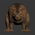 Realistic Brown Furry Animal Model With Long Ears And Short Legs