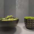 Lush Green Moss Decorative Display In Ceramic Bowl And Textured Container