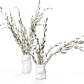 White Vase With Fresh Olive Branches For Home Interior Decoration