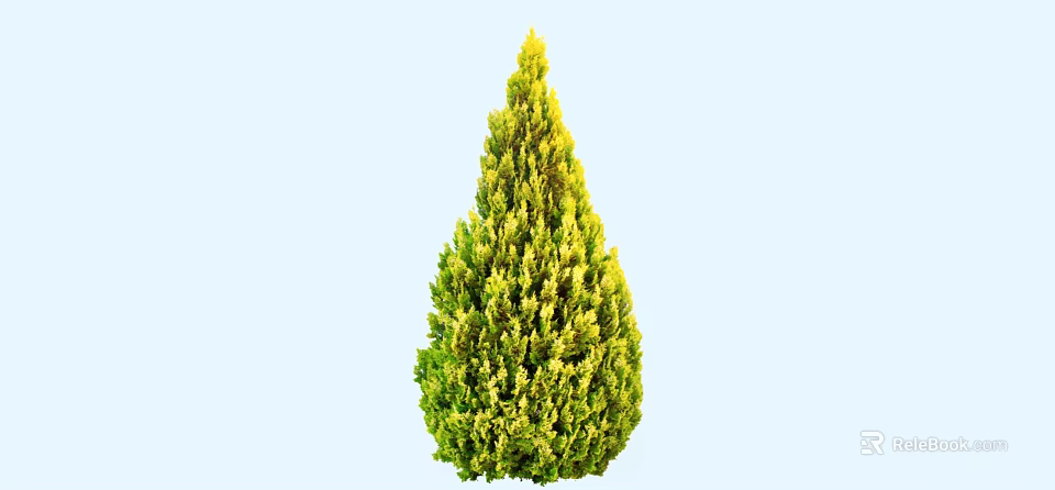 Conical Evergreen Arbor With Yellow Green Foliage Against Light Blue Background 3d model 