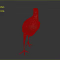 Detailed Gray and Brown Bird Standing on Gradient Gray to Black Background