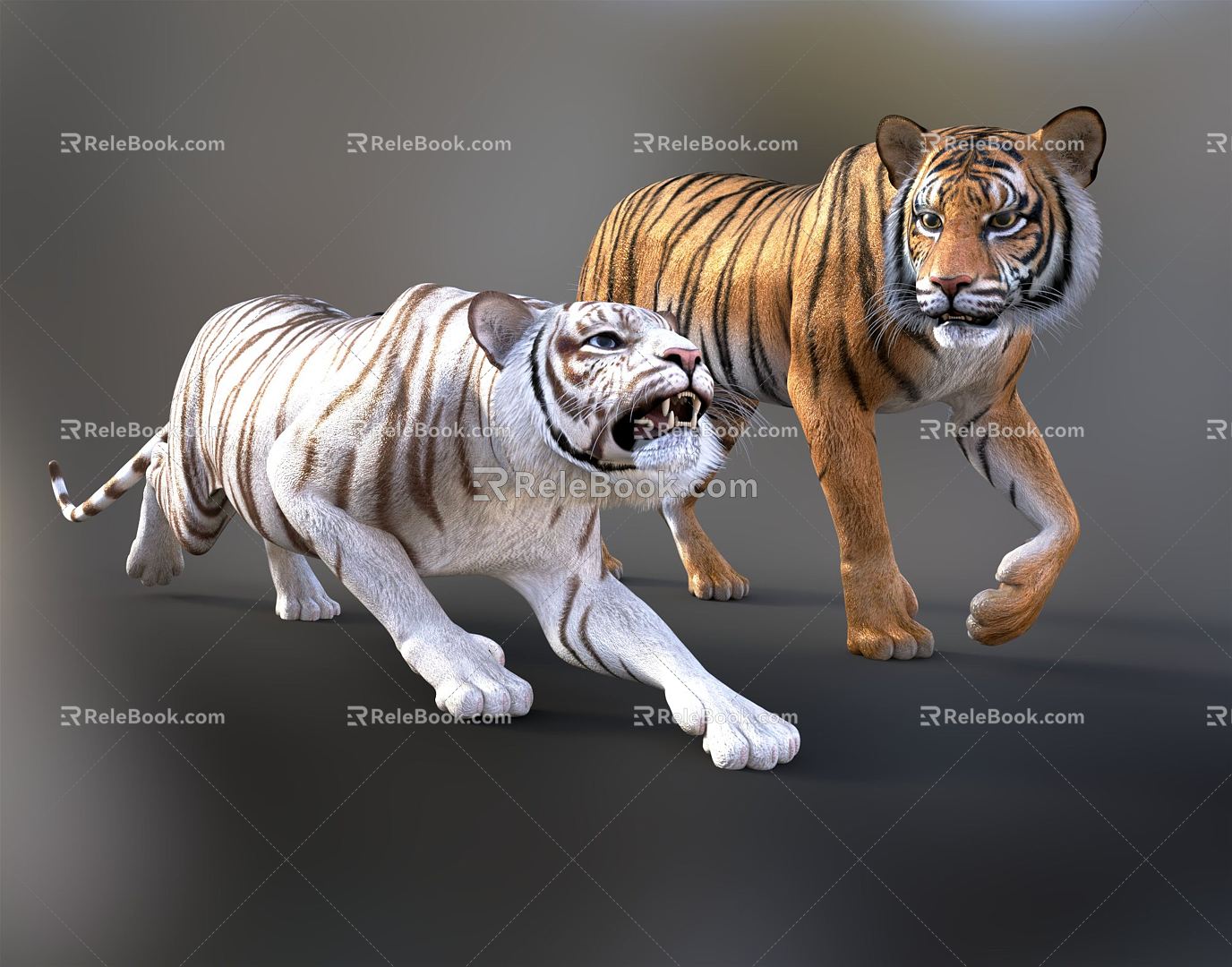 Modern Tiger White Tiger 3d model