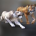 Modern Tiger White Tiger 3d model