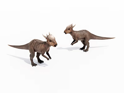 Two Realistic Dinosaur Models With Horned Heads Brown Textured Skin Standing on White Background 3d model