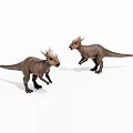 Two Realistic Dinosaur Models With Horned Heads Brown Textured Skin Standing on White Background