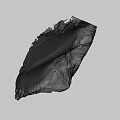 Natural Ancient Fossil Leaf Preserved in Stone with Detailed Vein Structure