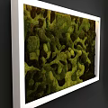 Living Plant Wall With Natural Moss Texture And Various Green Shades For Indoor Artistic Decoration