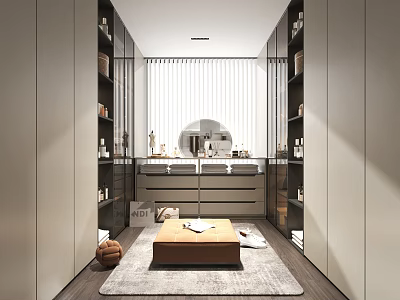 Modern Walk-in Closet Interior With Glass Door Cabinets Vanity Mirror Area Rug And Wooden Flooring 3d model