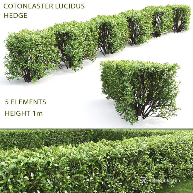 Decorative Outdoor Plant Ornament Set With 5 Elements And 1m Height 3d model 