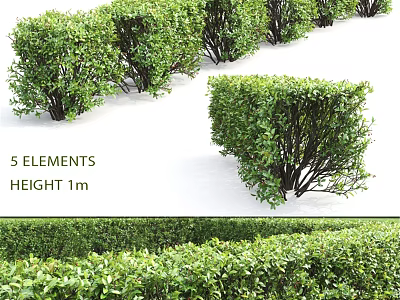 Decorative Outdoor Plant Ornament Set With 5 Elements And 1m Height 3d model