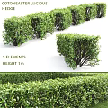 Decorative Outdoor Plant Ornament Set With 5 Elements And 1m Height