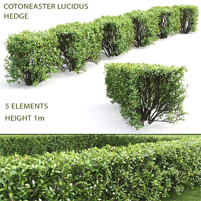 Decorative Outdoor Plant Ornament Set With 5 Elements And 1m Height 3d model