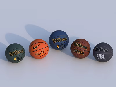 Assorted Basketball Sports Equipment With Wilson Nike Elite NCAA NBA Logos 3d model