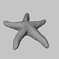 Orange Starfish With White Spots On Textured Surface And Gray Background