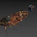 Detailed Cicada with Patterned Wings and Colorful Rubik's Cube on Gray Background 3d model