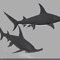 Two Hammerhead Shark Models Showcasing Aquatic Animal Features on White Background 3d model
