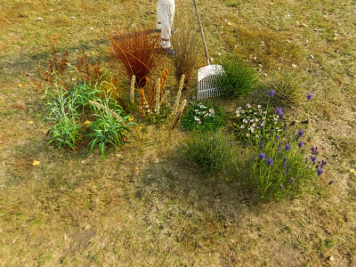 Various Colorful Flowers And Plants In Grassland With Person Holding Rake 3d model
