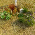 Various Colorful Flowers And Plants In Grassland With Person Holding Rake