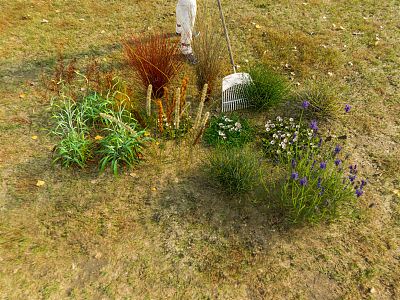 modern grass minority bai man low shrub plant weeding 3d model