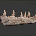 Prehistoric Animal Fossil With Spiked Bones And Ancient Skeletal Structure