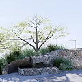 Natural Garden Ornament With Rock Structure Water Basin Tree And Green Plants